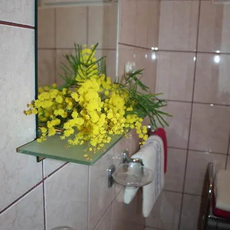 Mise شقة تروغير