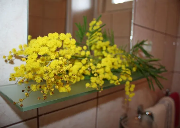 Apartment Mise Trogir